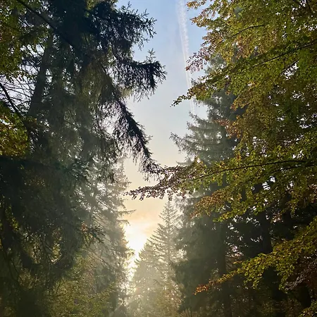 Apartment 4summer White Blue Sauna&fitness&parking 100 Metrów Do Pięknej Szerokiej Piaszczystej Plaży, Wspaniały Widok Z Dużego Tarasu! 100 Meter Zu Einem Schönen Breiten Sandstrand, Herrliche Aussicht Von Einer Großen Terrasse!