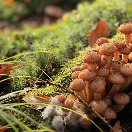 Lejlighed 4summer Blue Maris White Blue Sauna & Fitness & Parking 100 Metrow Do Pieknej Szerokiej Piaszczystej Plazy, 100 Meter Zu Einem Schoenen Breiten Sandstrand Kołobrzeg